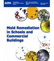 Mold-Remediation-180x214_c-180×202